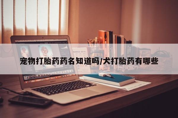 私人打胎药大月份胎停药宠物打胎药药名知道吗/犬打胎药有哪些