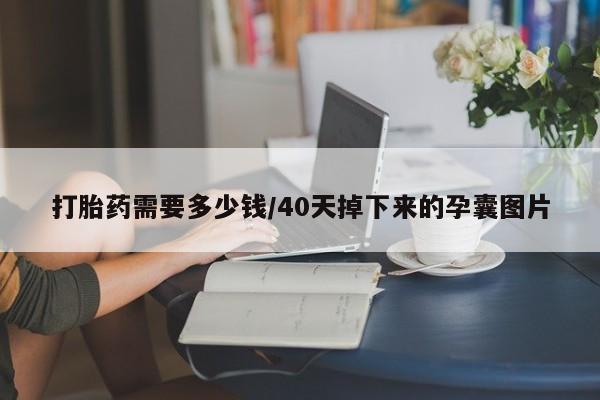 私人打胎药大月份胎停药打胎药需要多少钱/40天掉下来的孕囊图片